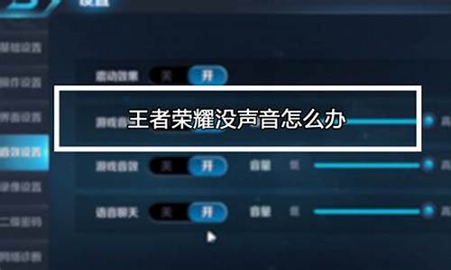 王者荣耀语音没声-王者荣耀语音没声音怎么调